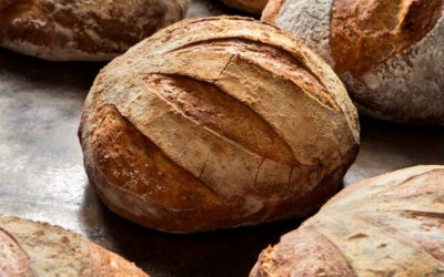 Katie’s Musings:  Our Daily Bread